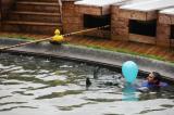 IMG_9690 * 5616 x 3744 * (8.41MB)