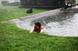 IMG_9697 * 5616 x 3744 * (9.64MB)