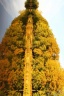 Automne 2011